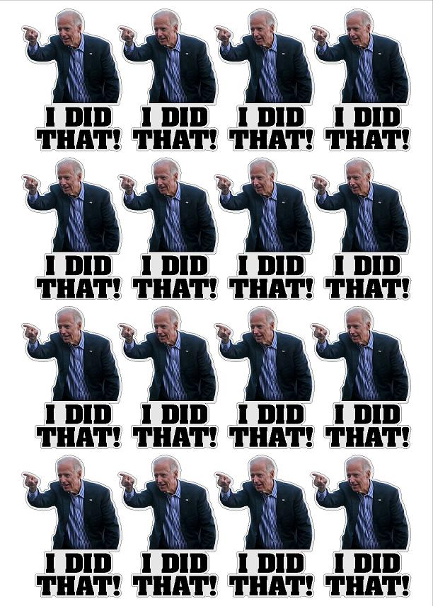 Biden I Did That - Decals