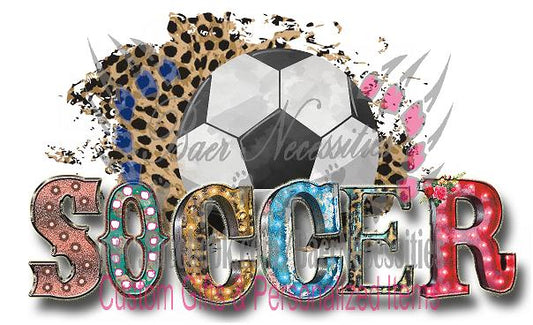 Soccer - Transfer