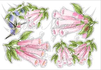 Hummingbird Dawn 01 - Decal Theme/Set