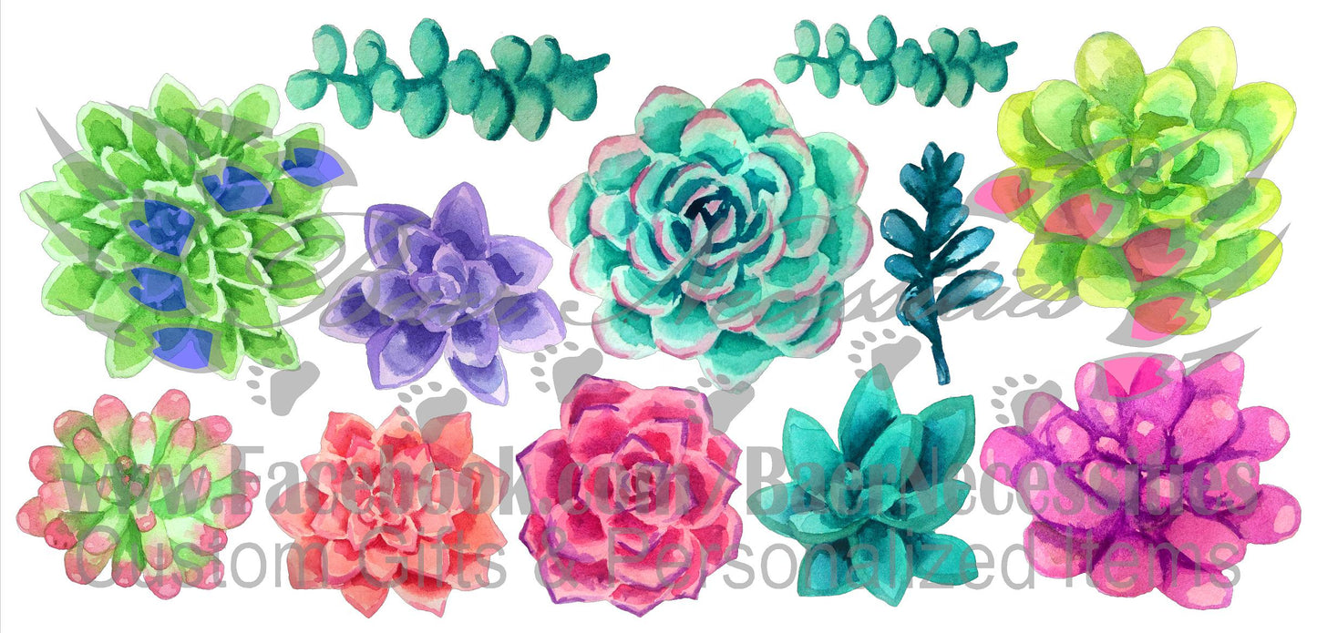 Watercolor Succulents Sheet - Decal Theme/Set